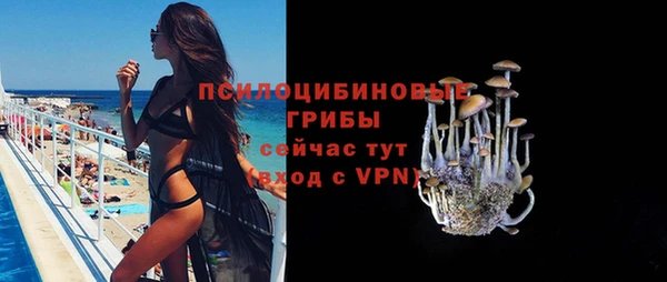 СК Абаза