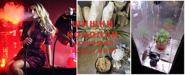 шишки Абинск